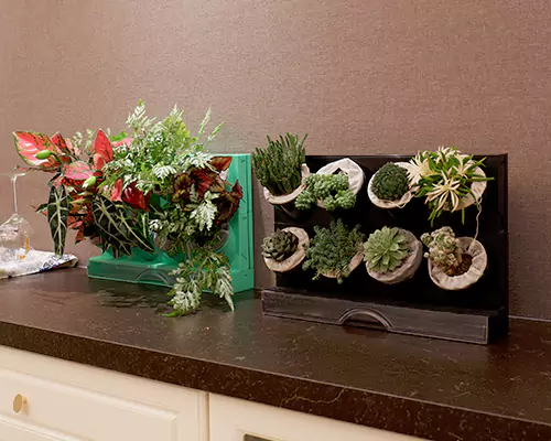 De färgglada blomkrukorna får mina växter att känna att de är på semester varje dag