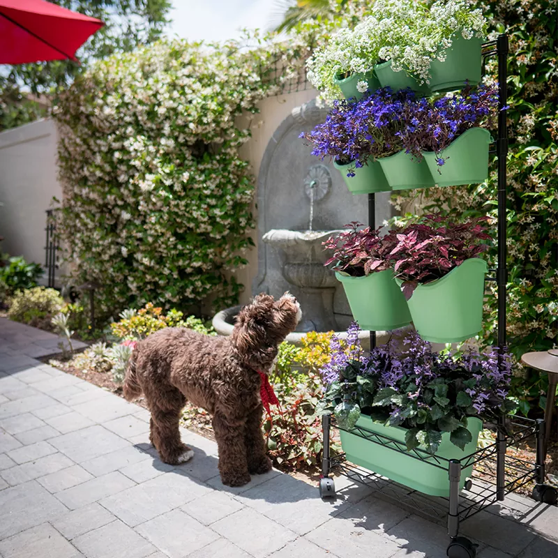 Metall Mobil Grön Vägg Dubbelram