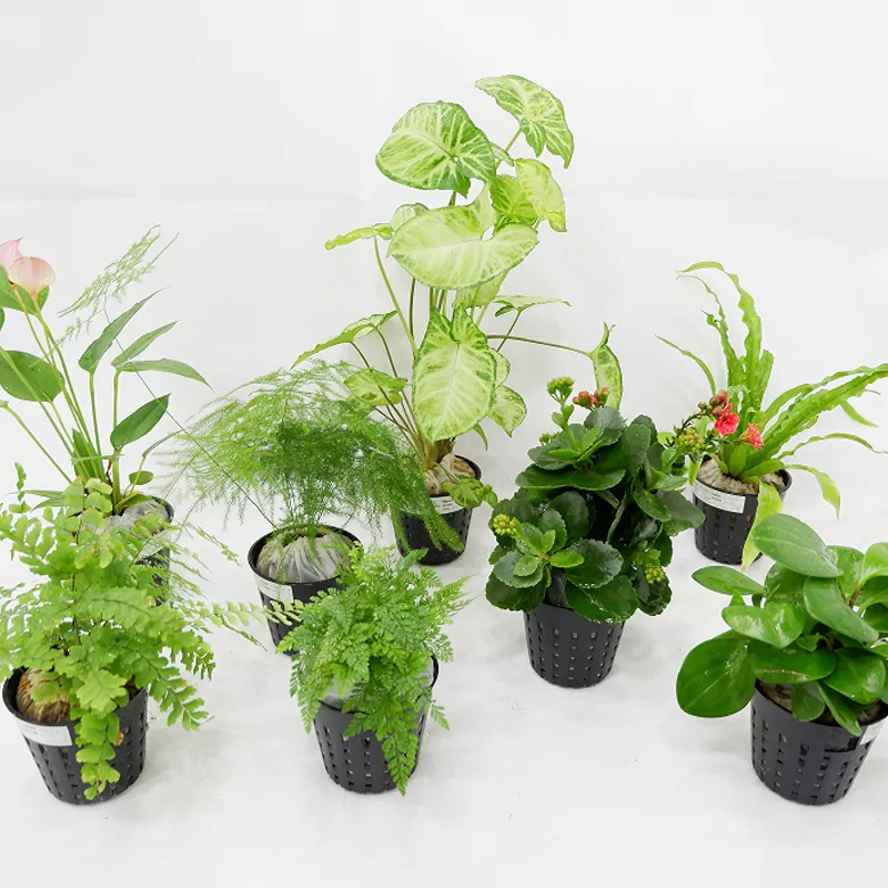 PP-material 3 tums innerkruka